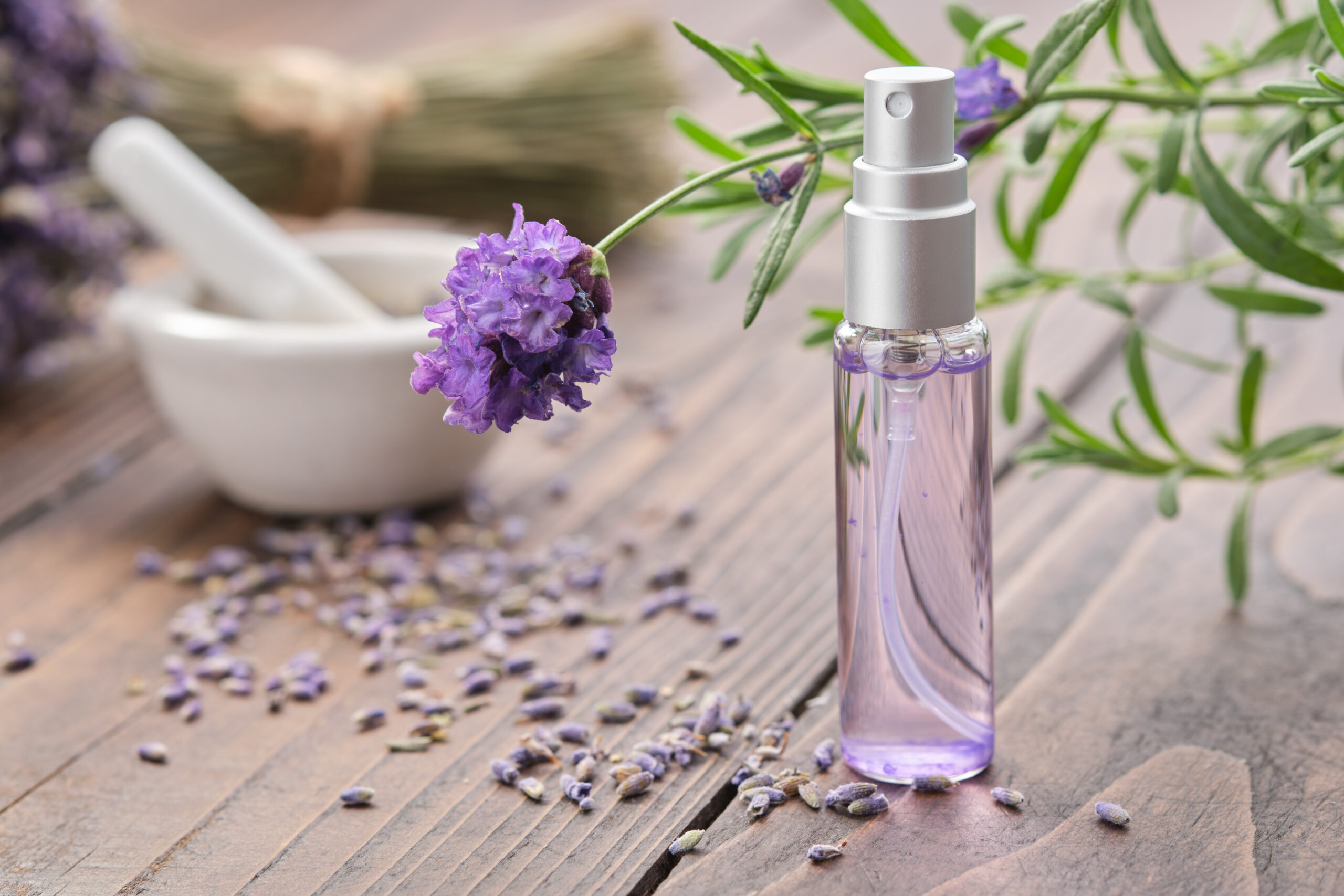 Spray Bottle Of Lavender Essential Oil. Scented Lavender Water,